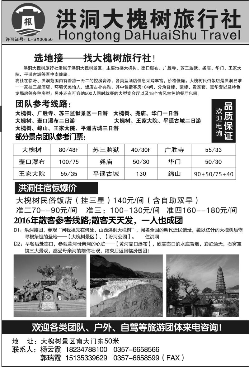 B28-山西-洪洞大槐树旅行社N-1