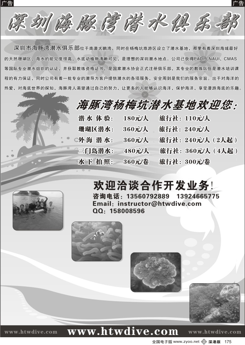 b黑175  深圳海豚湾潜水俱乐部175