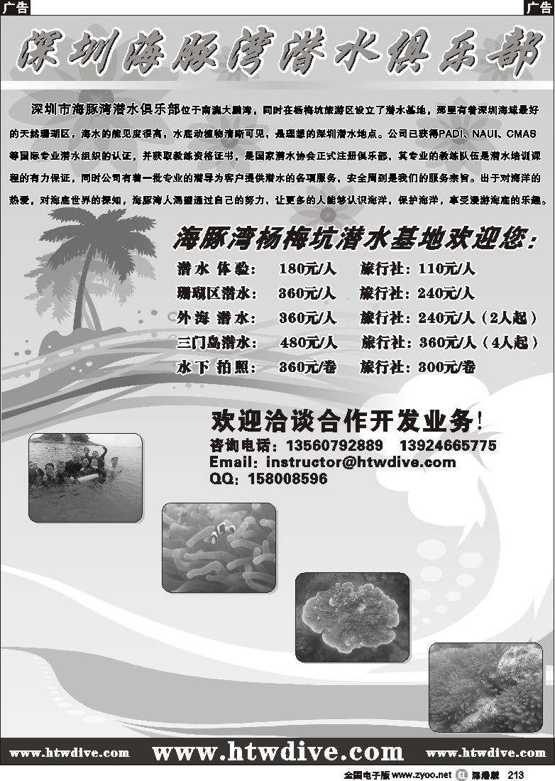 r黑213  深圳海豚湾潜水俱乐部213