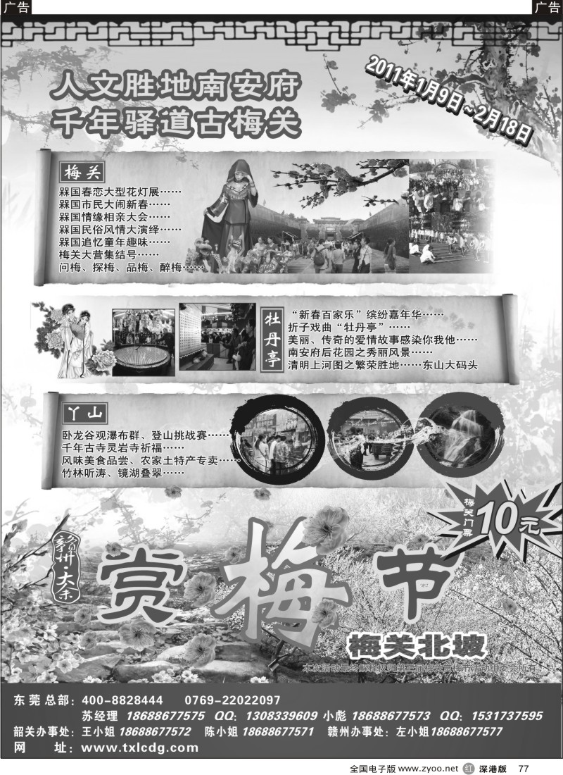 r黑077  广东北大门—梅花节