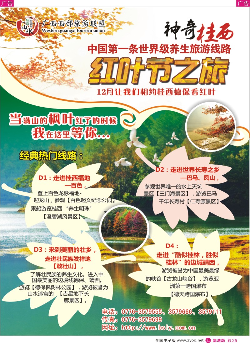 r彩025  桂西德保红枫节 欢迎你的到来