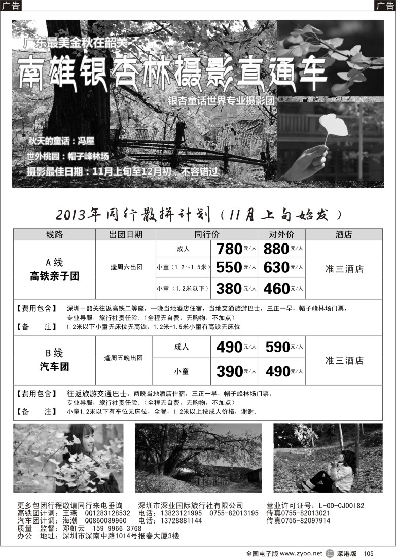 r黑105  金秋韶关-南雄银杏摄影直通车