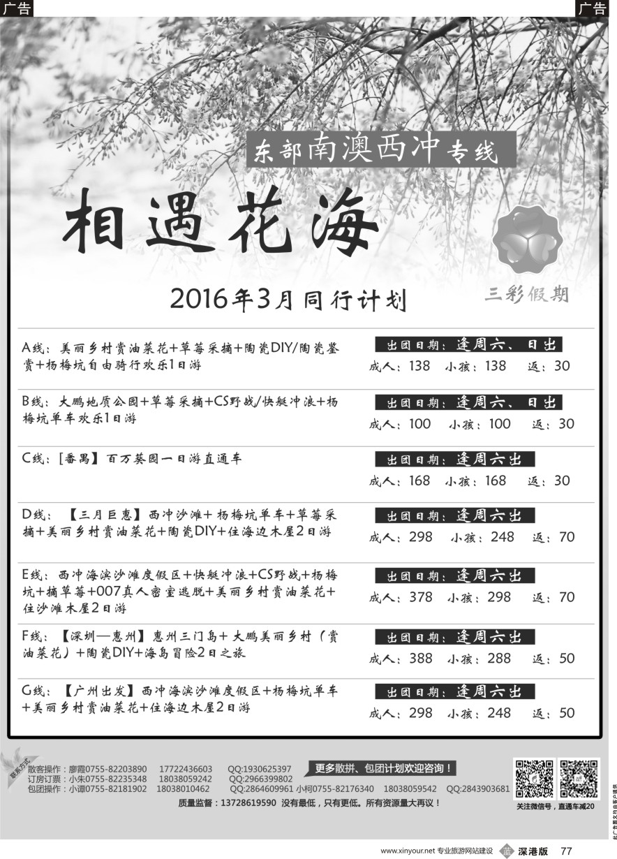 b黑077  （三彩假期）三门岛独家代理、南澳西冲、山海峡、大甲岛、较场尾特惠批发