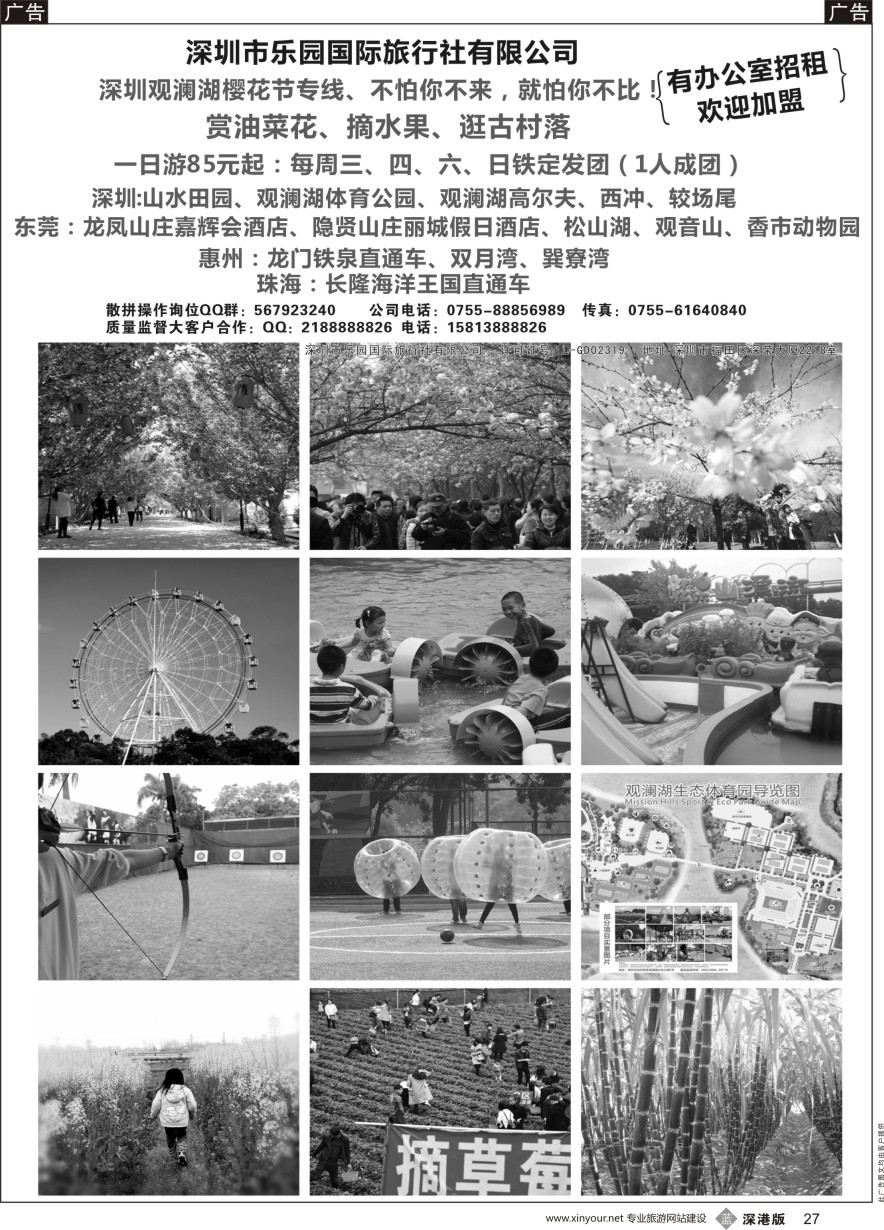 b黑027  观澜湖樱花节+风车节铁定发团