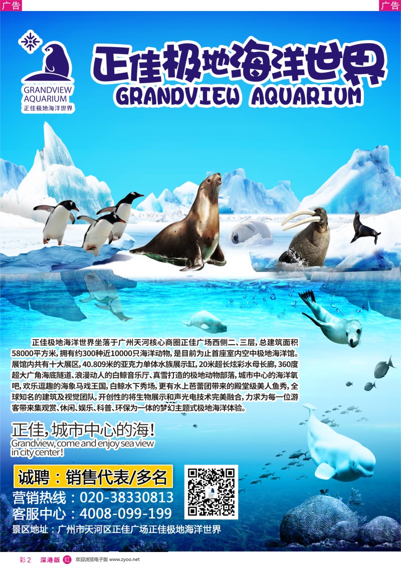 r彩002  城市中心的海-正佳极地海洋世界