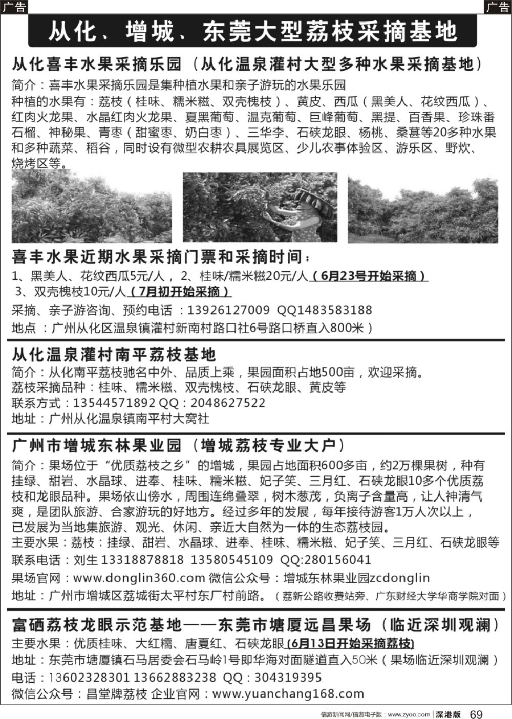 r黑069  从化 增城、东莞荔枝、龙眼、其它水果采摘基地