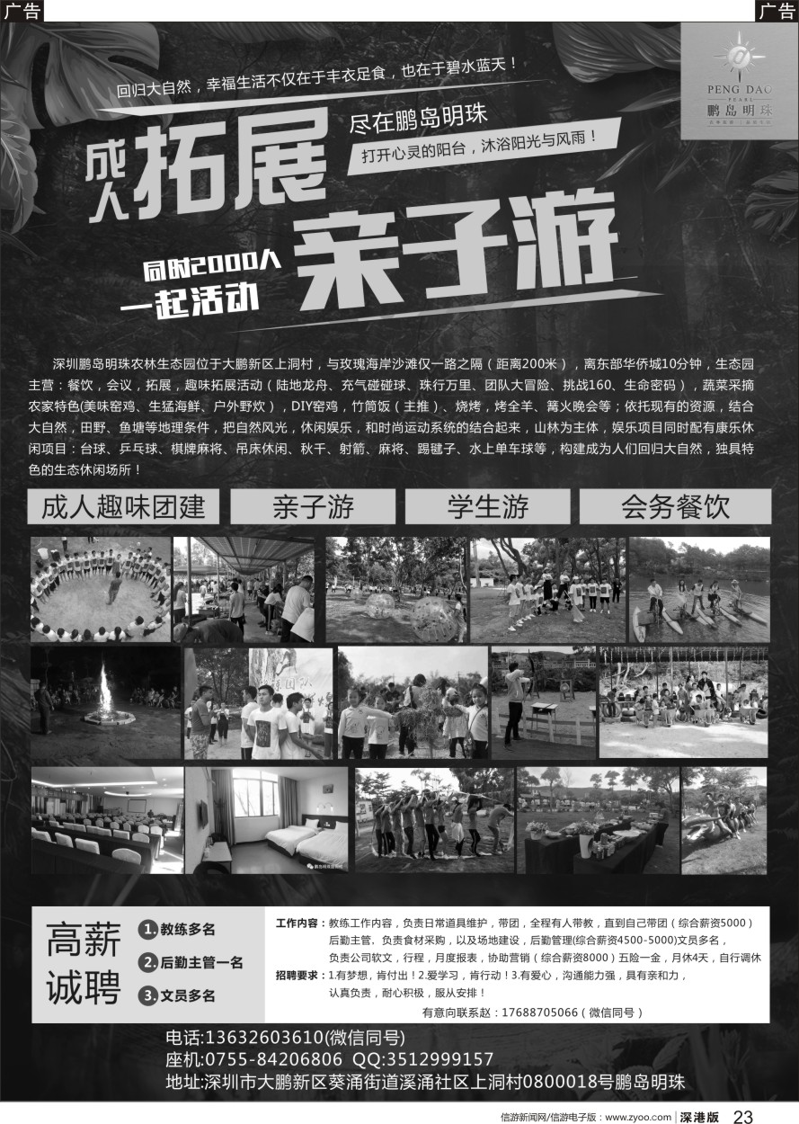 b黑023  大鹏-西冲鹏岛明珠亲子拓展趣味运动会（野炊套餐）