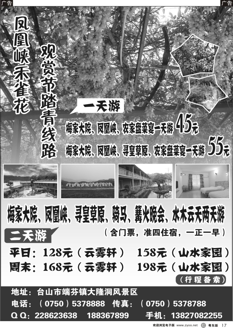 017  凤凰峡禾雀花观赏节踏青线路