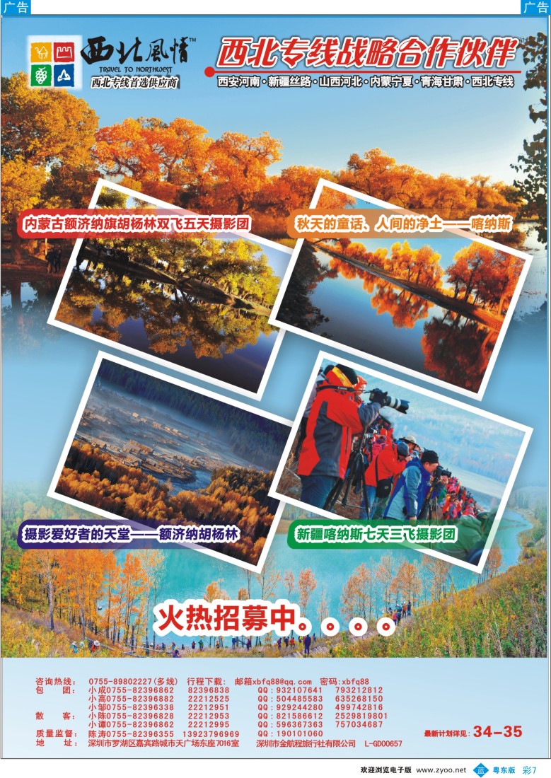 b彩07  西北风情（陈涛）西北专线首选供应商？