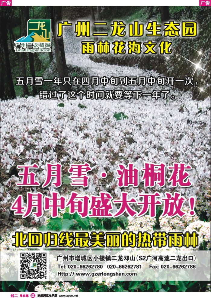 519红版封二  广州二龙山生态园-5月雪油桐花盛大开放
