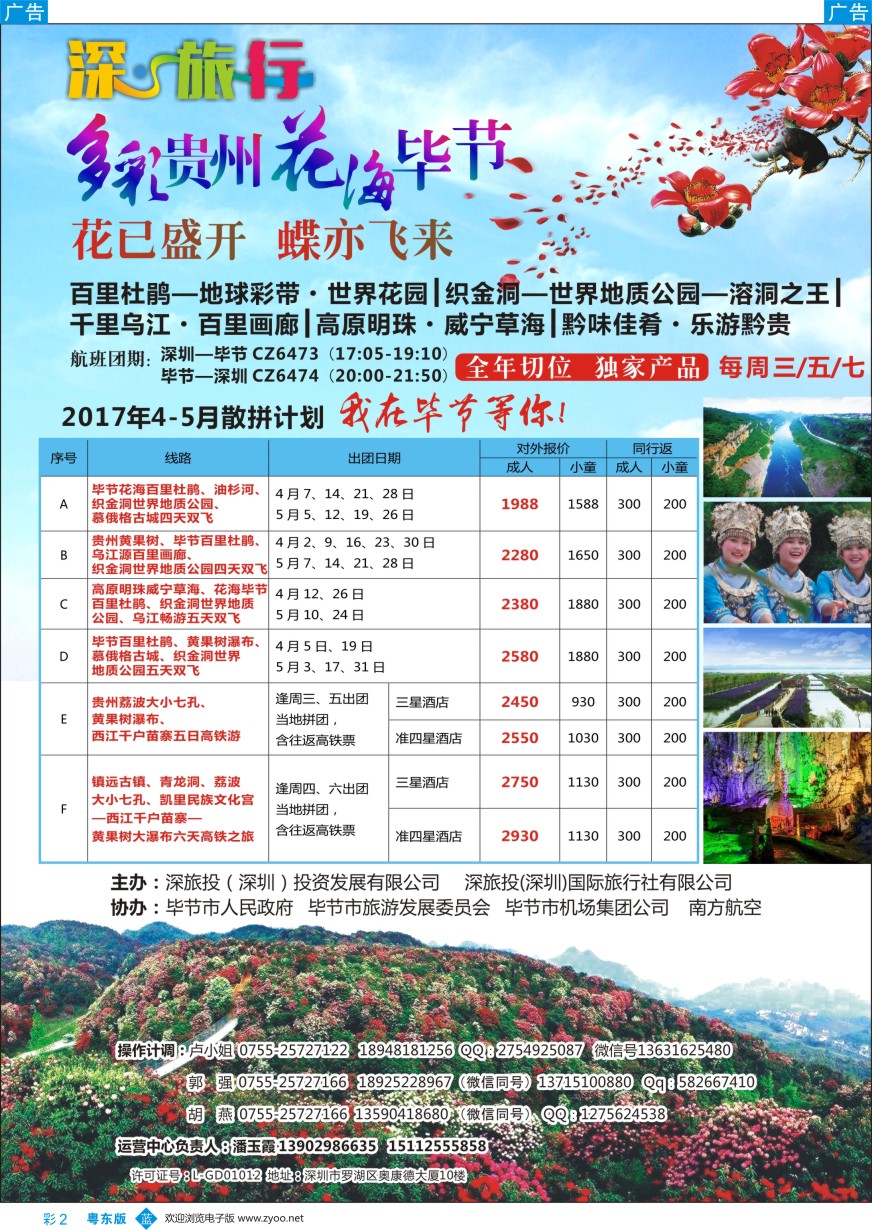 国内综合  b彩002  深旅投-多彩贵州  花海毕节