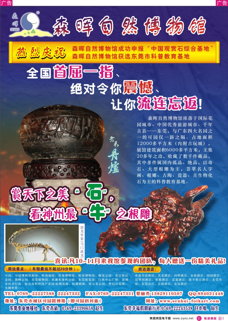 r彩1东莞新亮点：森晖自然博物馆