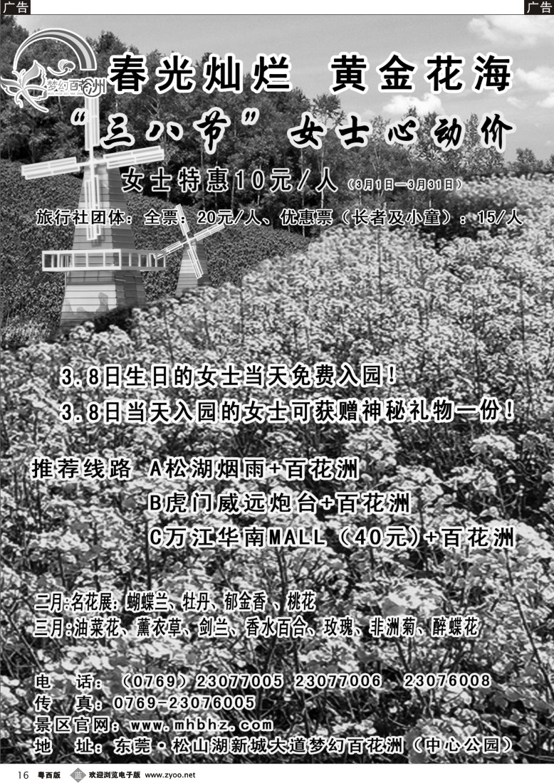 b16  东莞松山湖-梦幻百花洲春节特惠 