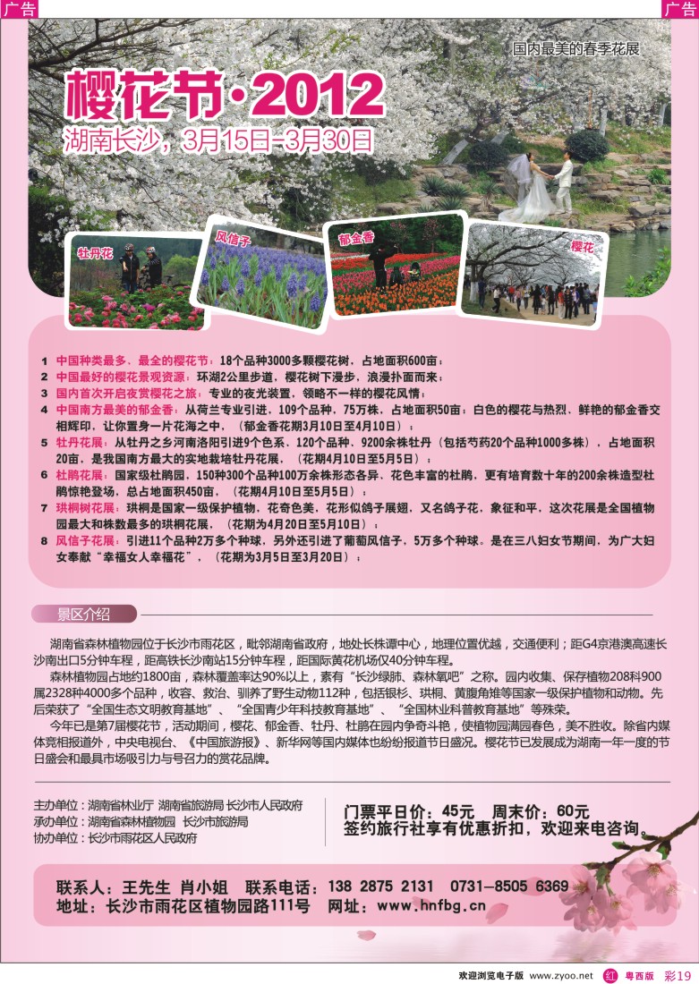 r彩19 樱花节2012(湖南线)