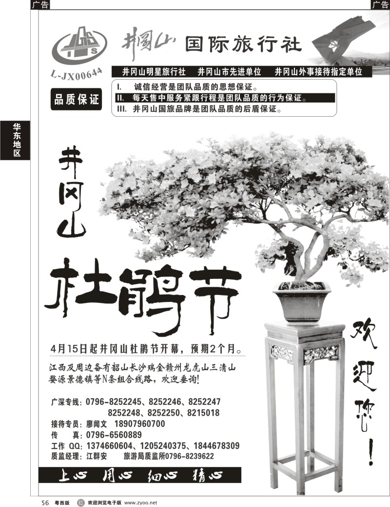 r56 井冈山国旅欢迎您赏杜鹃