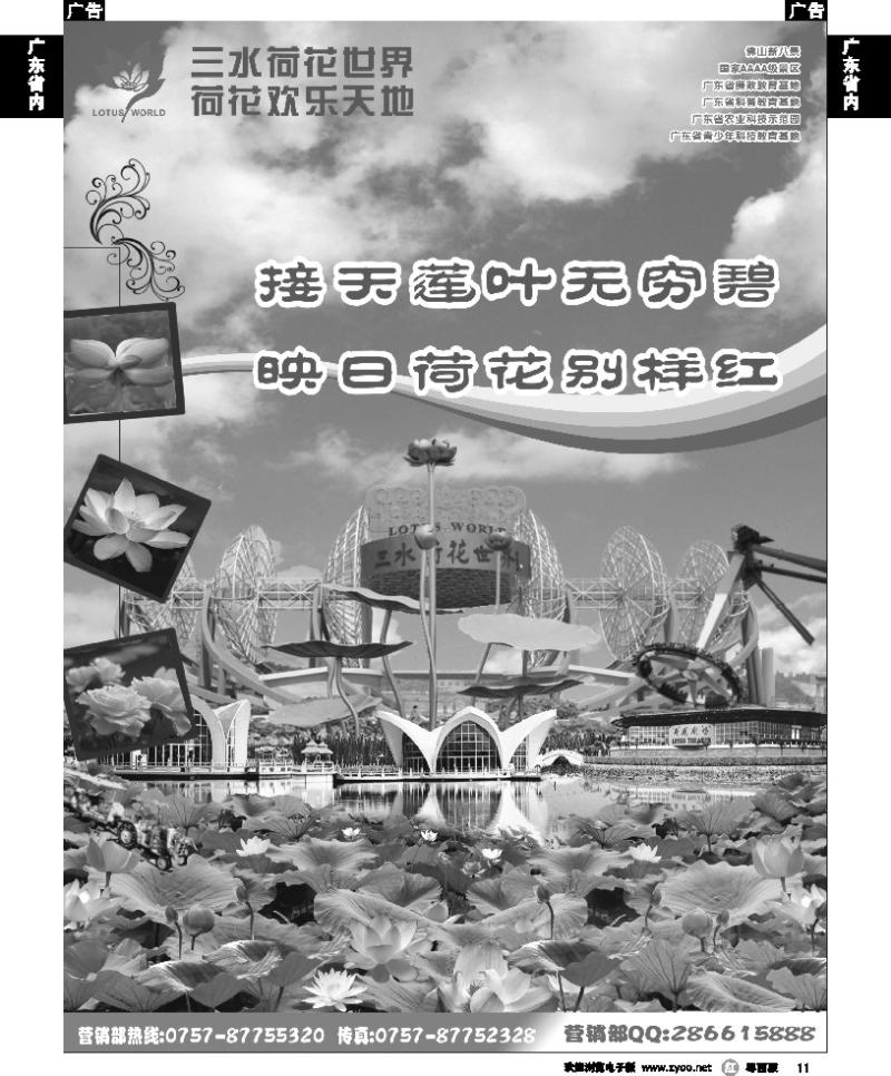 r11 佛山三水荷花世界