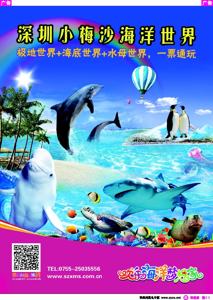 r彩11 深圳小梅沙海洋世界