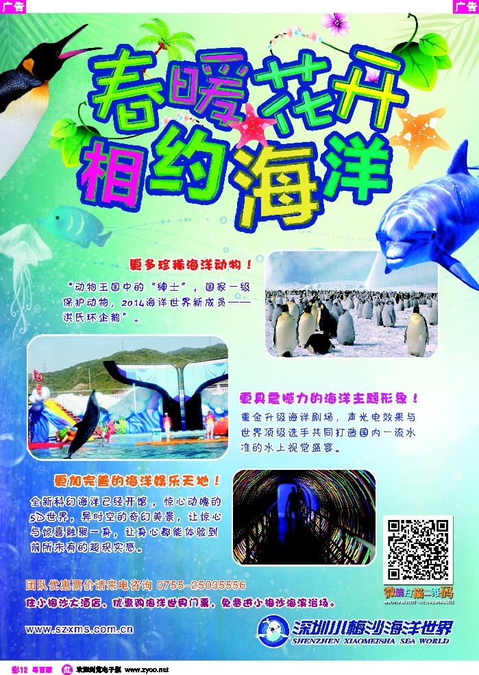 r彩12 深圳小梅沙海洋世界