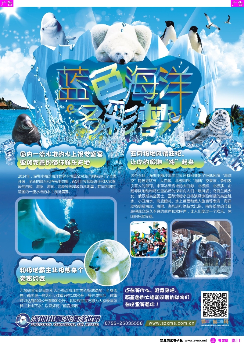 r彩11 深圳小梅沙海洋世界