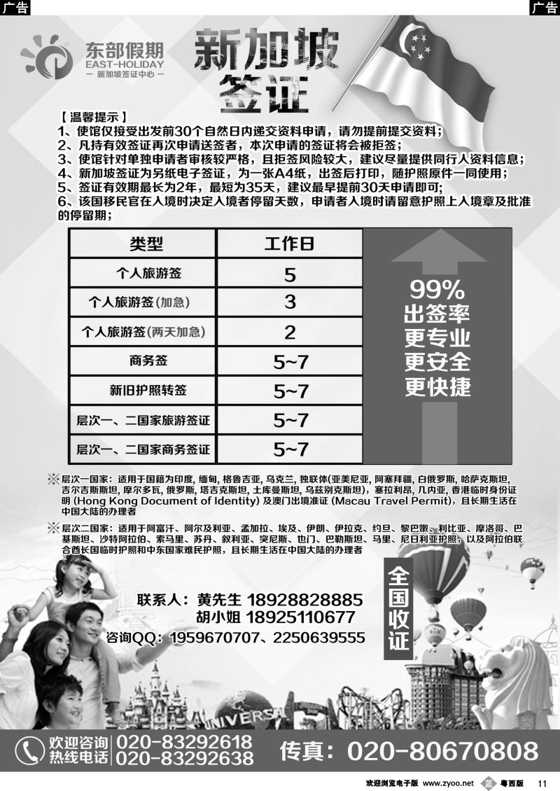 b11 新加坡专业签证