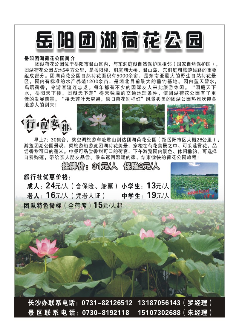 a5-岳阳团湖荷花公园