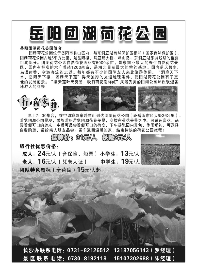 A5.岳阳团湖荷花公园