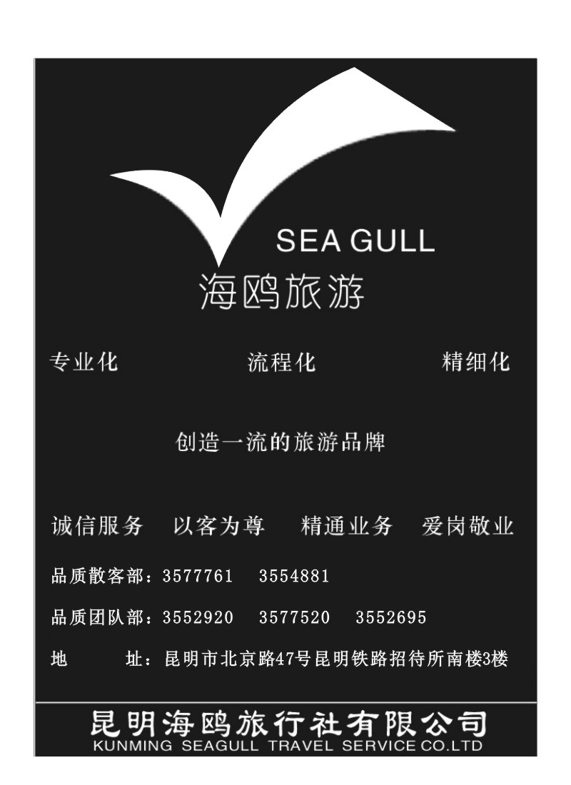 B65.海鸥旅行社有限公司 形象宣传