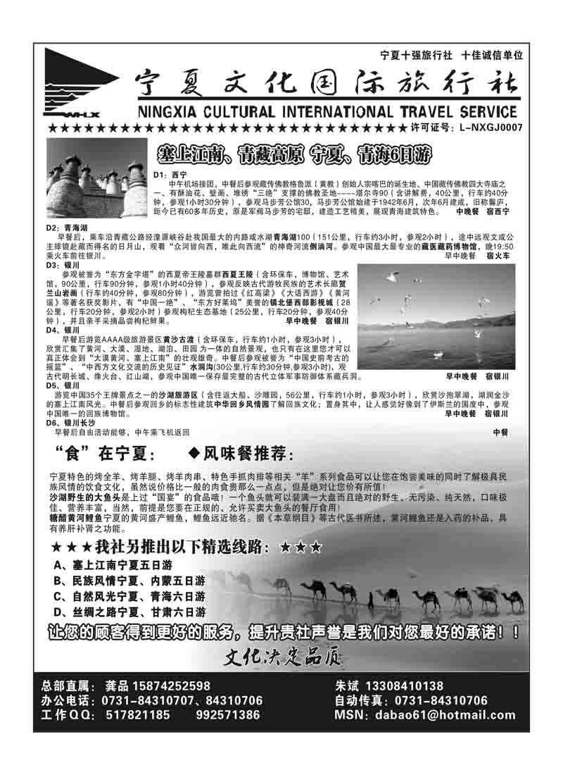 B81宁夏文化国际旅行社