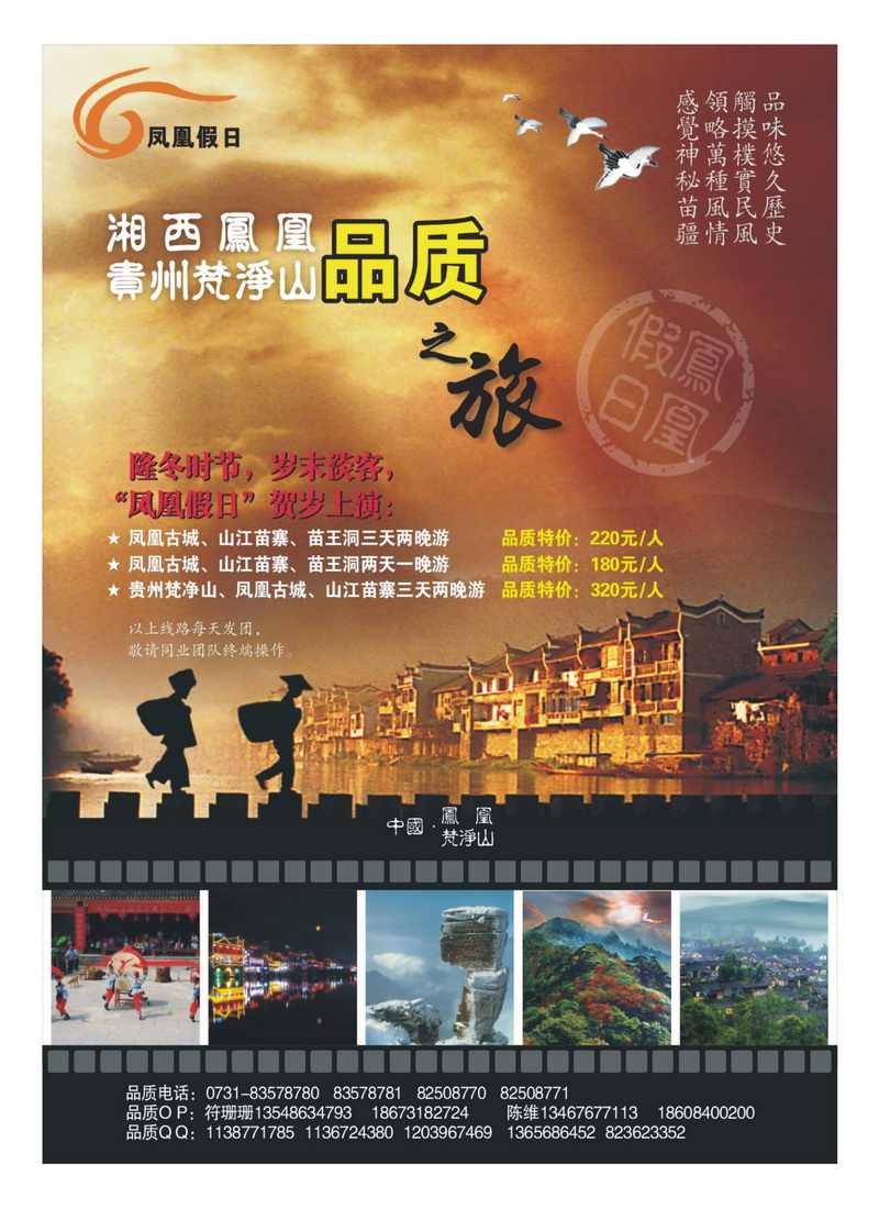 A3金凤凰