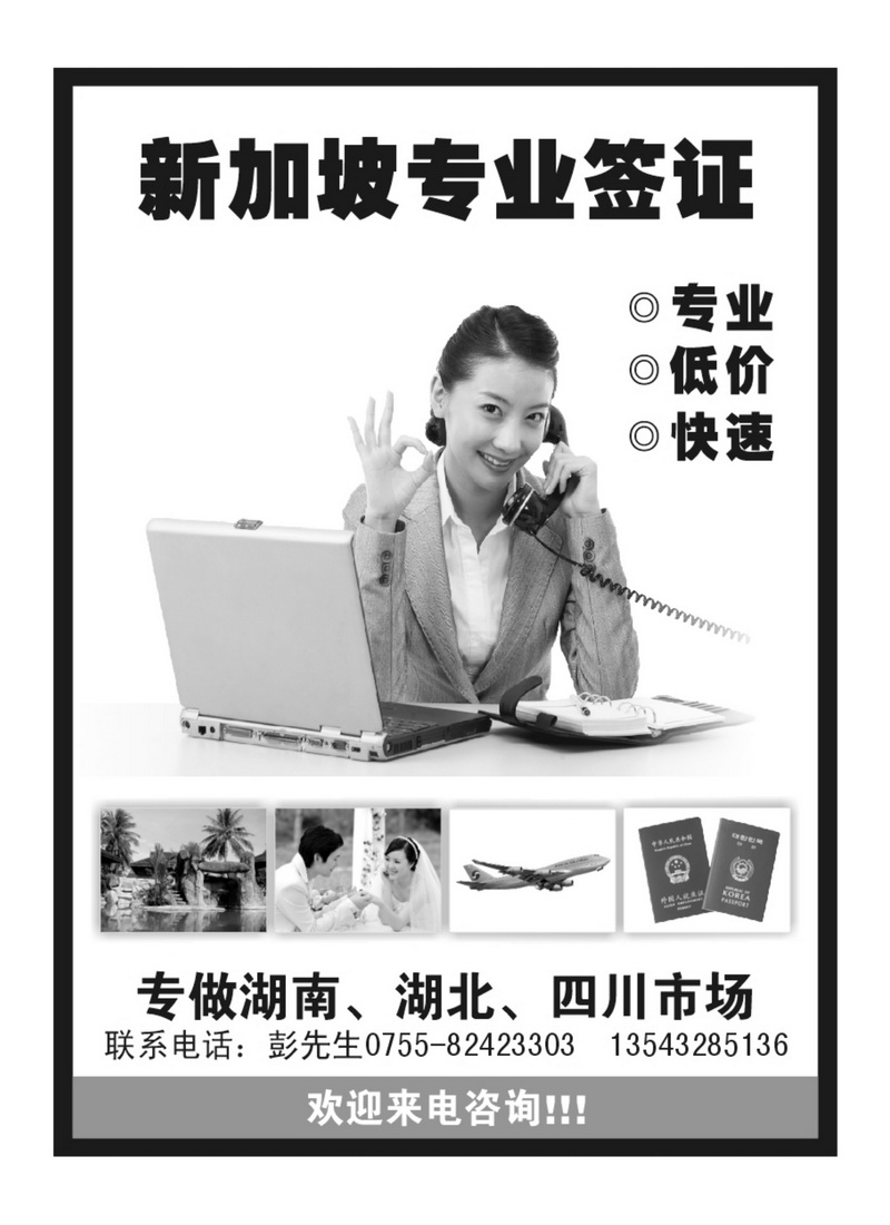 A53新加坡专业签证