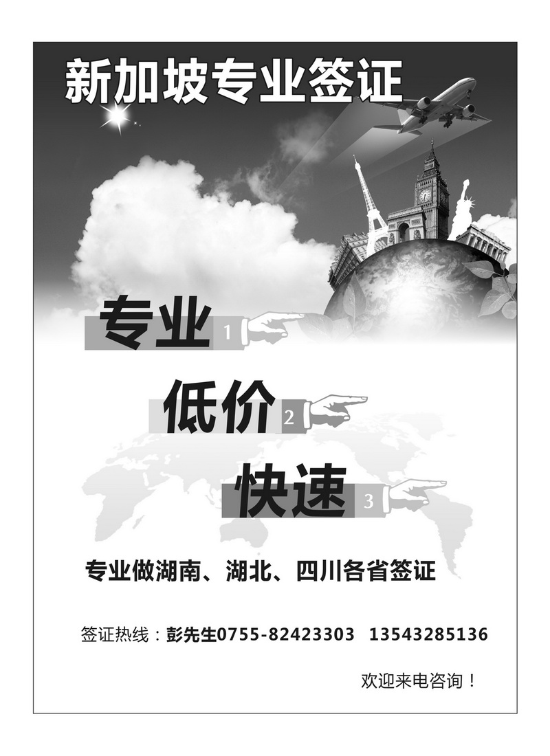 A52新加坡专业签证
