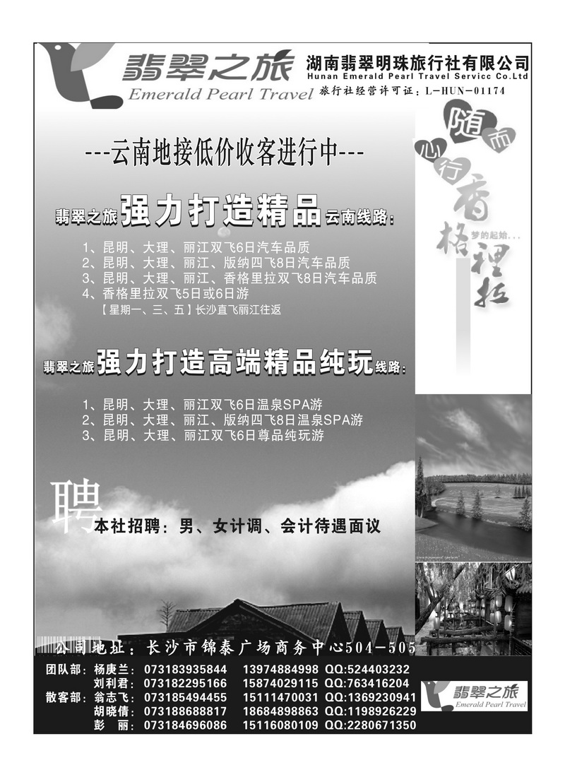 b49翡翠明珠