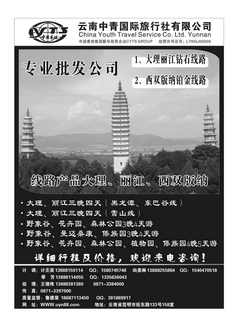 b46云南中青国际旅行社—昆大丽专线
