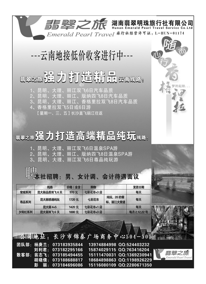 B54翡翠明珠