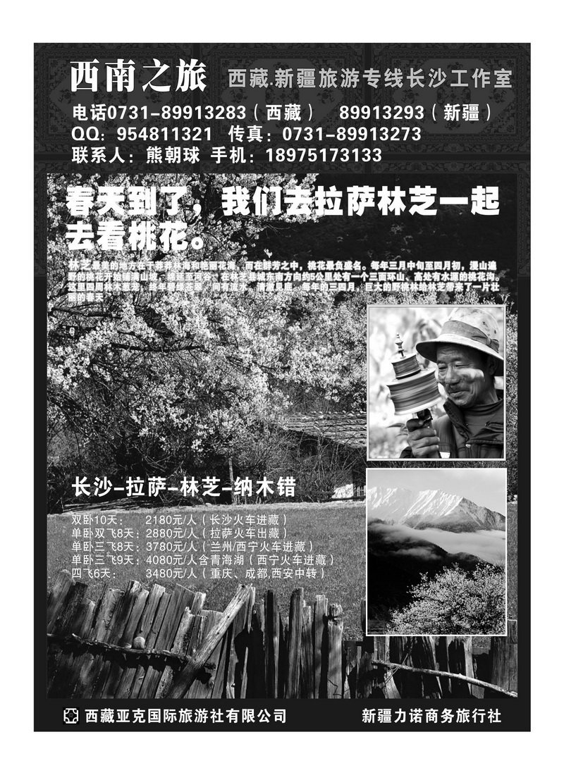 B41西藏亚克