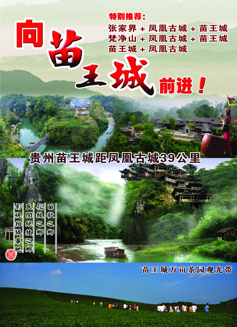 B5苗王城报纸
