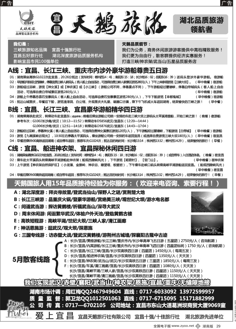 B029 三峡、神农架、武当山 宜昌天鹅1