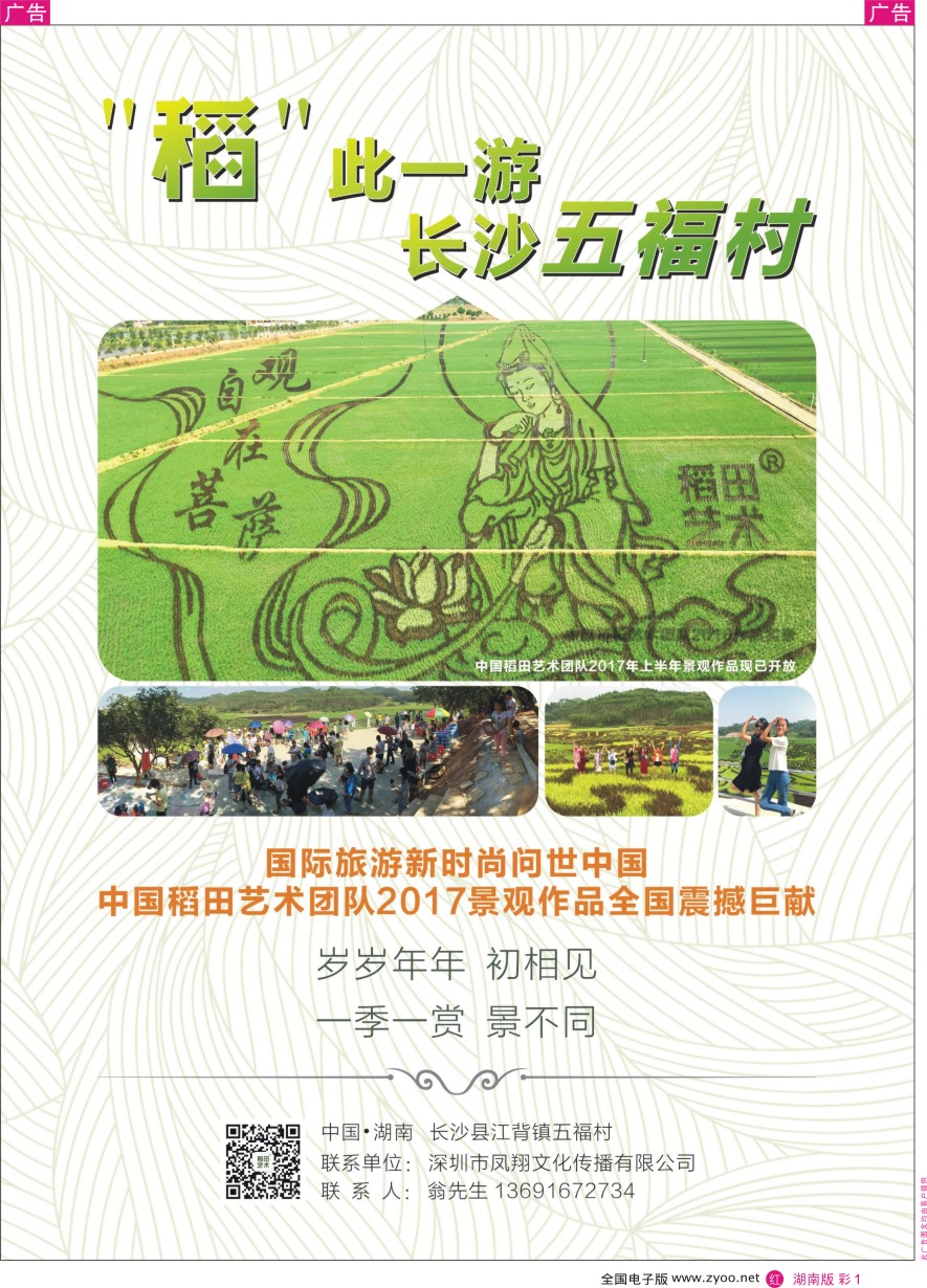 RC001 湖南长沙稻田艺术赏