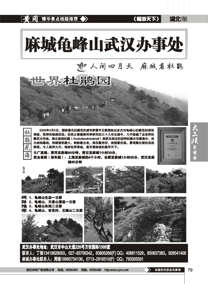 79武汉招商旅行社--龟峰山