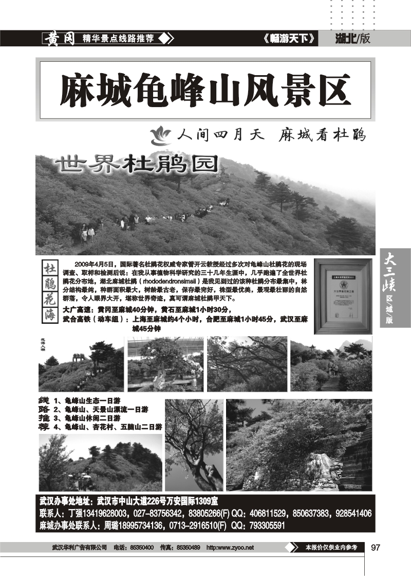 97武汉招商旅行社--龟峰山