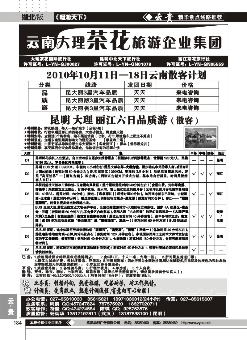 184云南大理茶花旅游