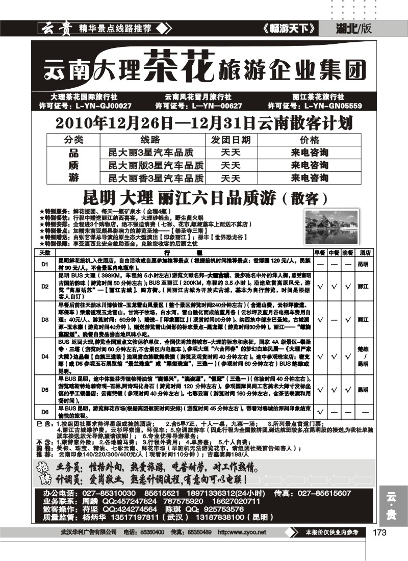 173云南大理茶花旅游