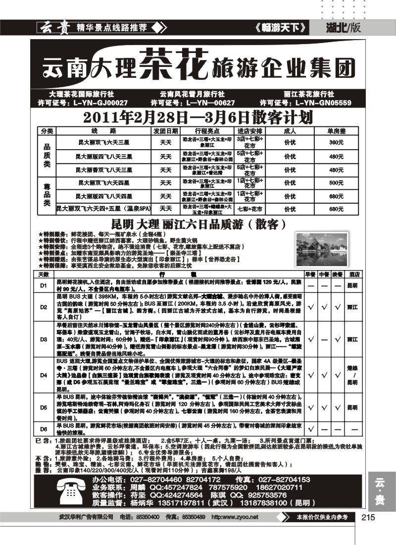 215云南大理茶花旅游