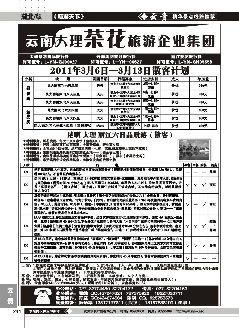 244云南大理茶花旅游