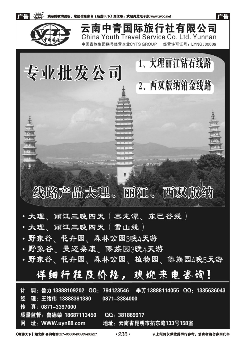 238云南中青国际旅行社—昆大丽专线