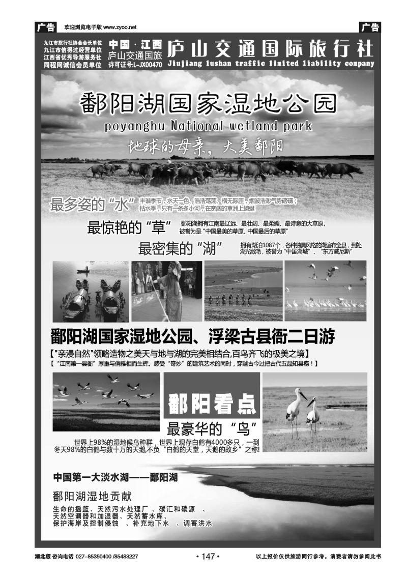 147九江庐山交通国际旅行社(四)
