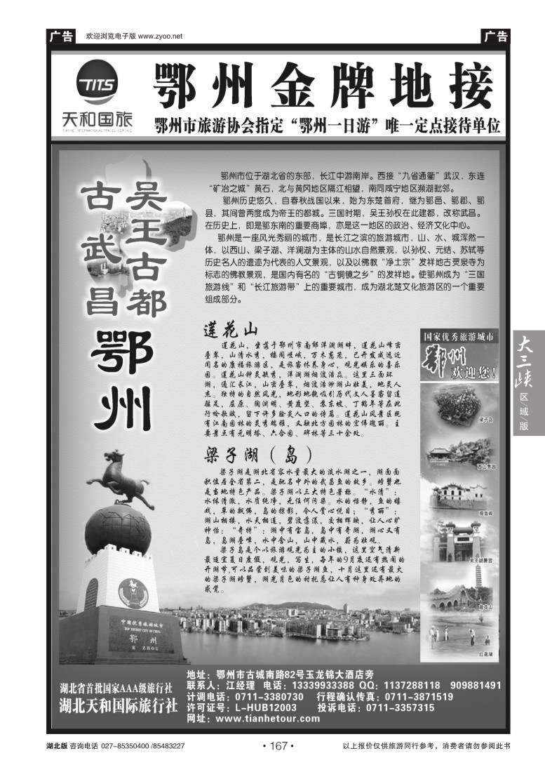 167湖北天和国际旅行社