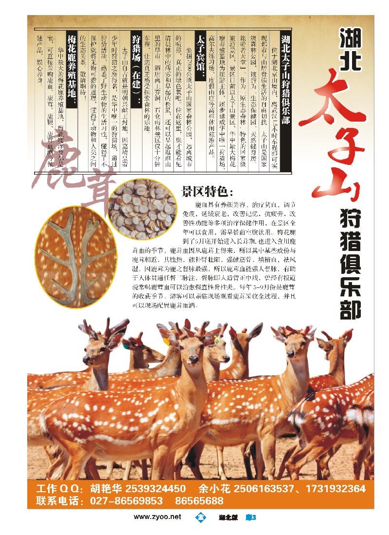 b003扉 湖北太子山国际狩猎俱乐部