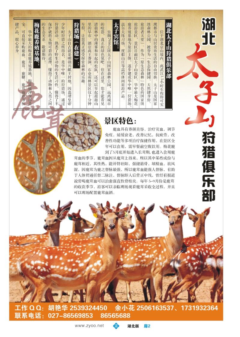 b002扉：湖北太子山国际狩猎俱乐部