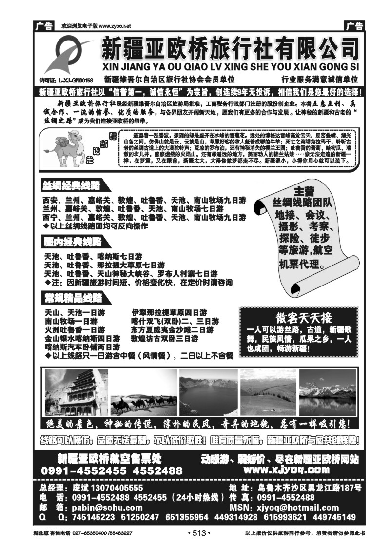 r513新疆亚欧桥旅行社有限公司